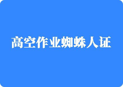 操屄色操屄一级色操屄高空作业蜘蛛人证